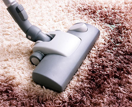 Our experts are out everyday conducting carpet cleaning